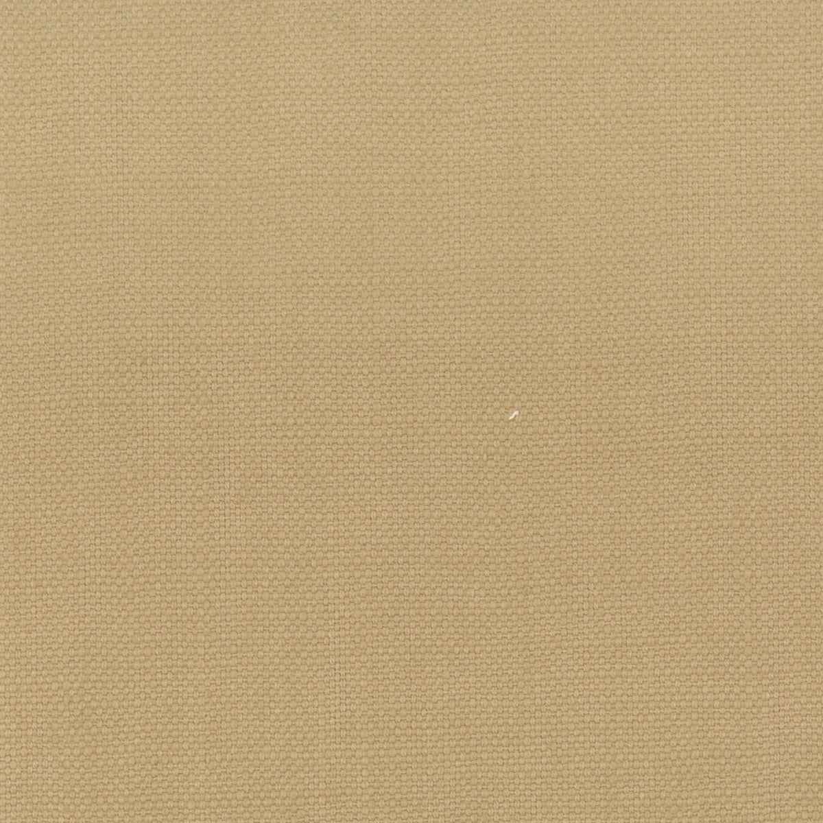 STANFORD 23 RAFFIA