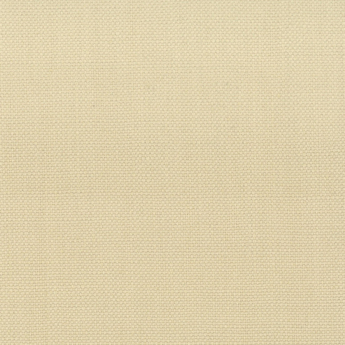 STANFORD 26 PARCHMENT