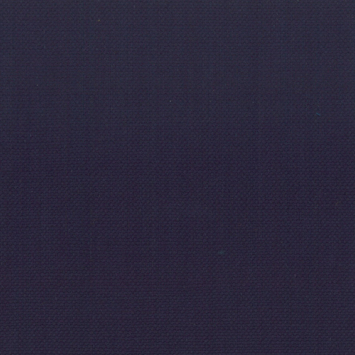 STANFORD 31 INDIGO