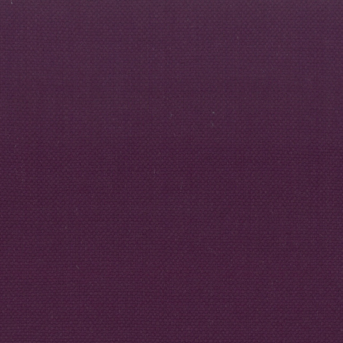 STANFORD 37 AMETHYST