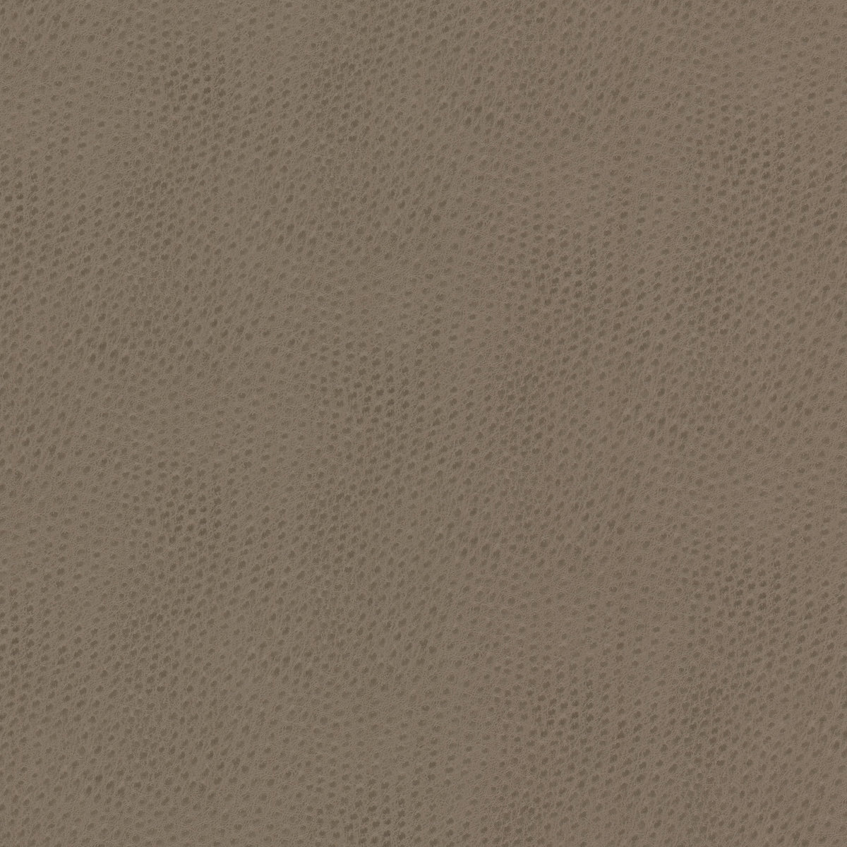STEEPLECHASE 1 PUTTY