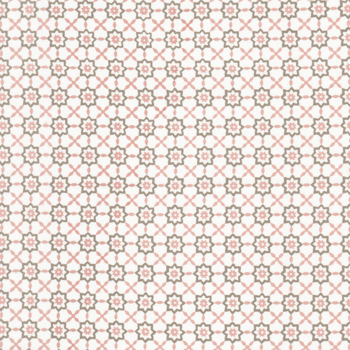 STELLA 1 BLUSH