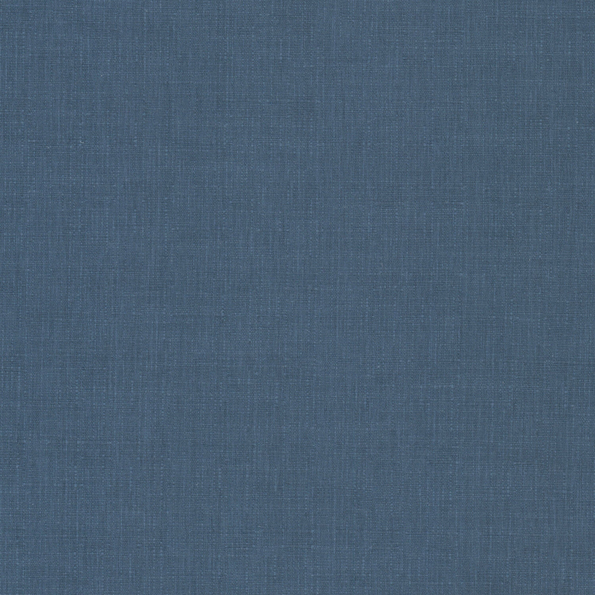 STEPHEN 1 BLUEBERRY