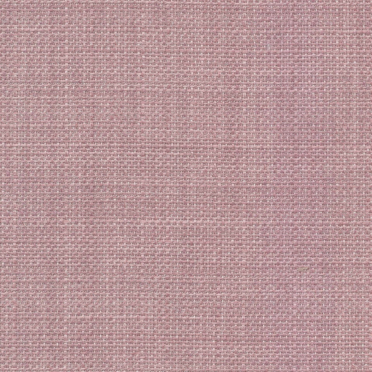 Saint Tropez / Heather