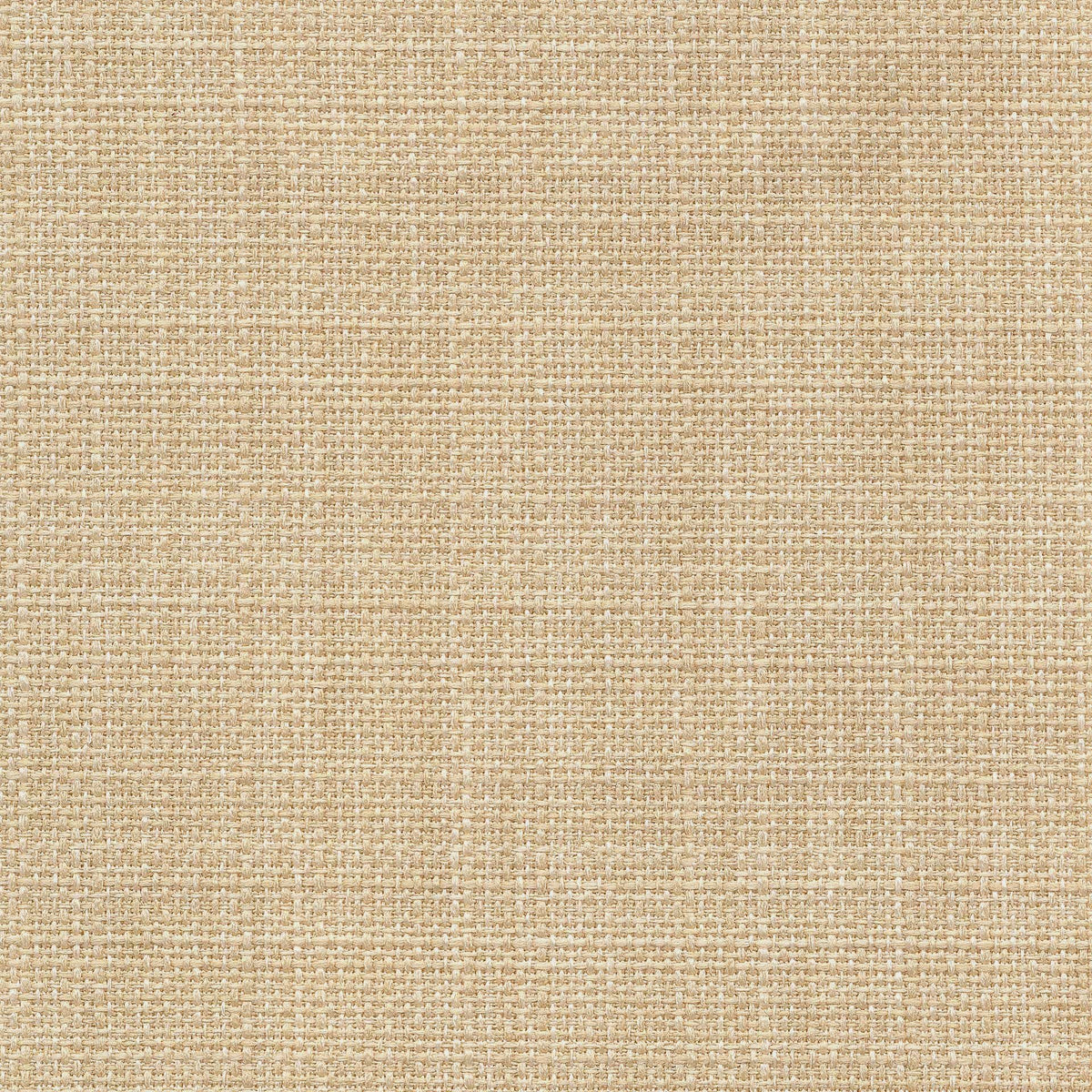 Saint Tropez / Iced Coffee