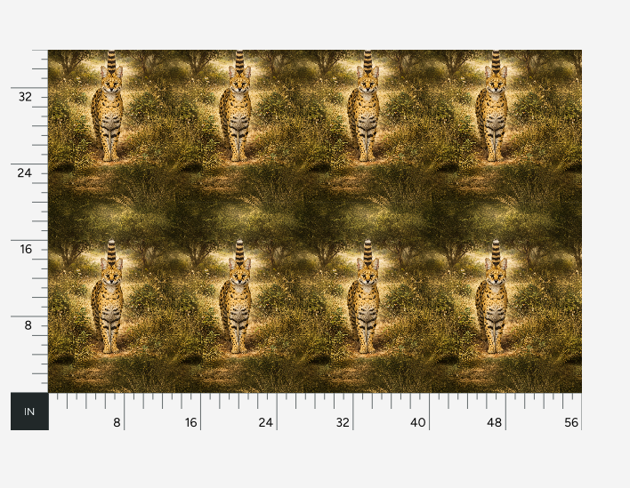 Serval Safari