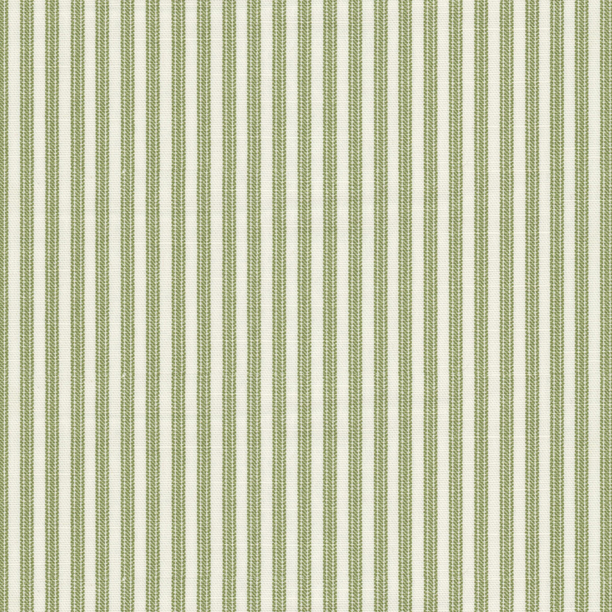 TALKER 1 GRASS