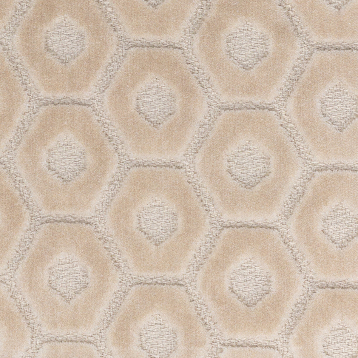 TAMBOURINE 5 CREAM