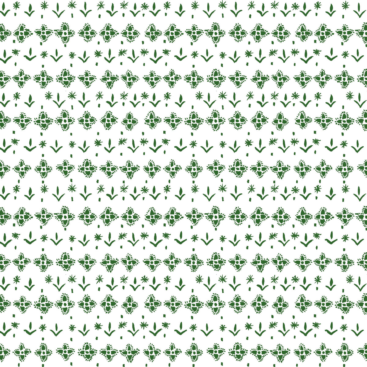 TEACUP 6 EVERGREEN