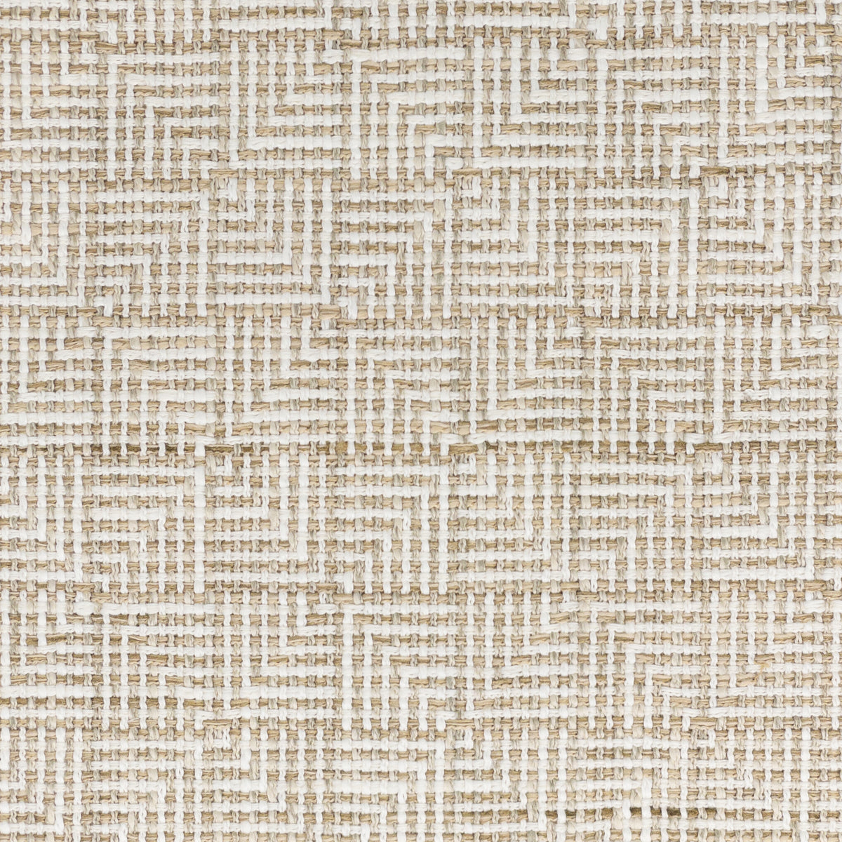 THEME 2 BIRCH