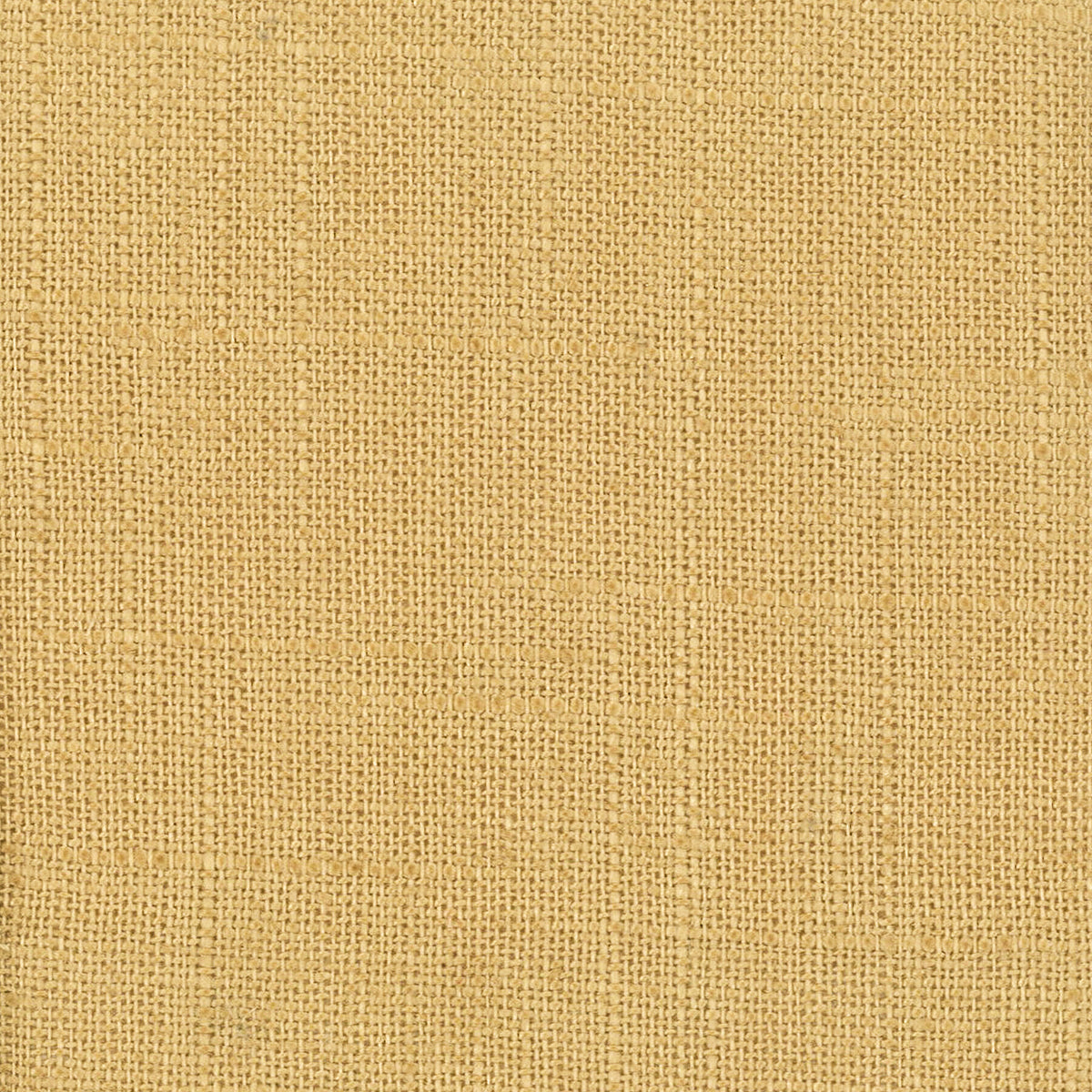 TICONDEROGA 56 WHEAT