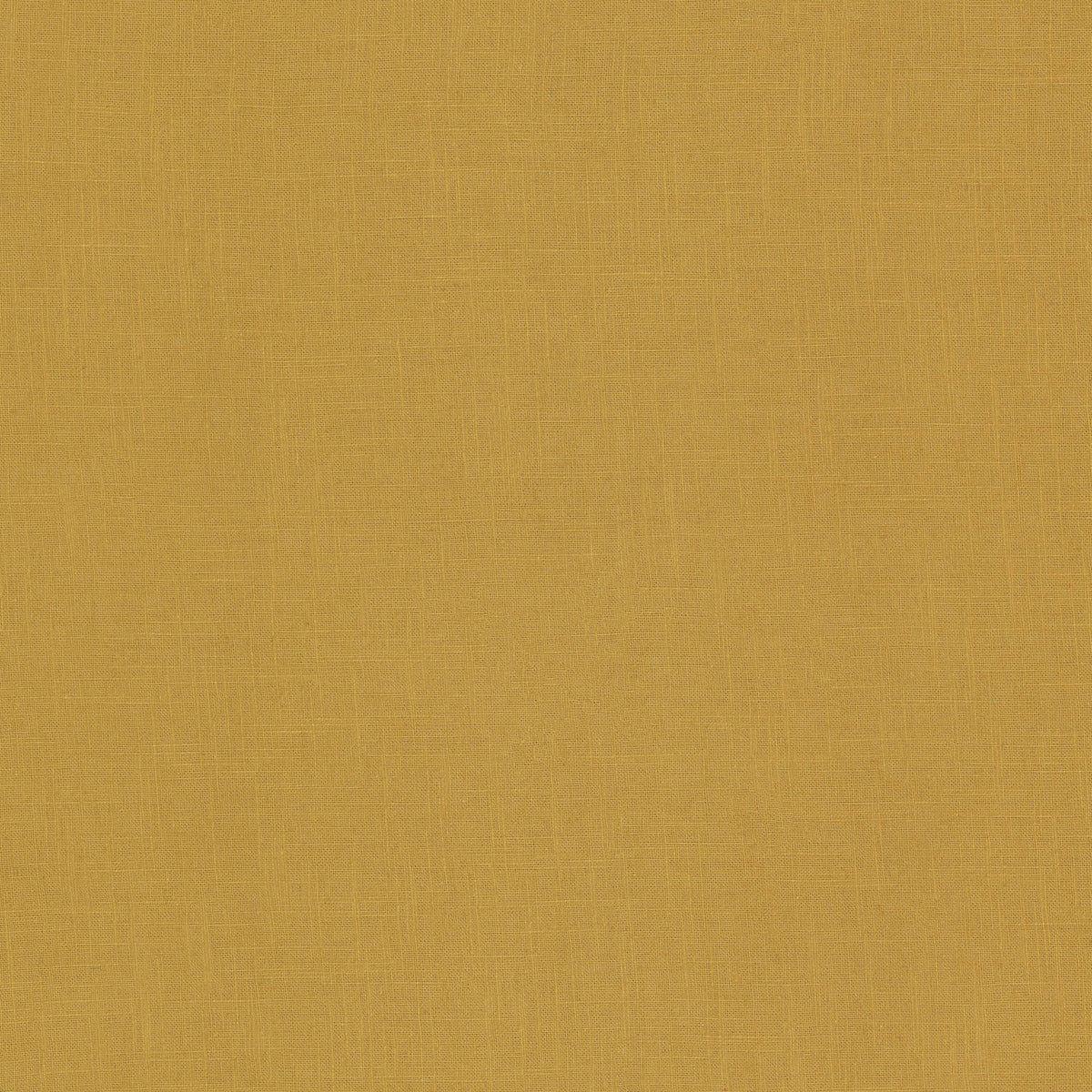 TICONDEROGA 71 GOLDENROD