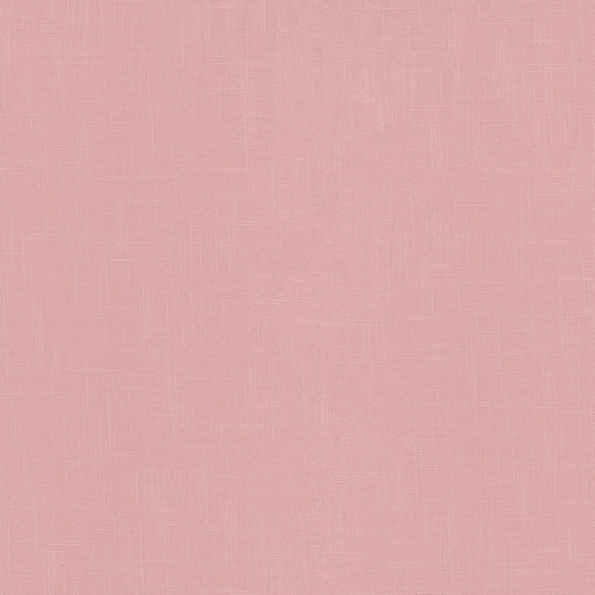 TICONDEROGA 72 PINK
