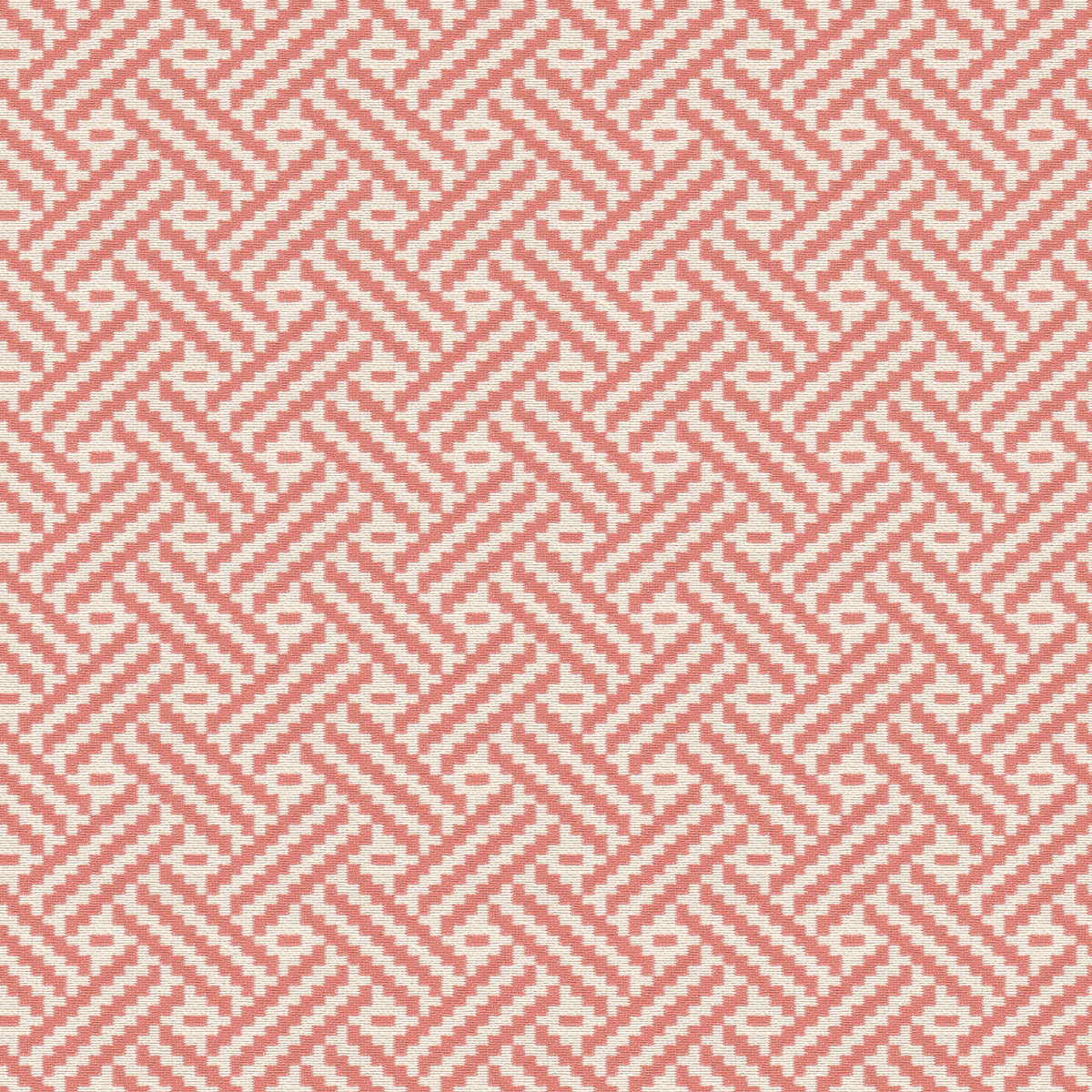 TOBY 1 CORAL
