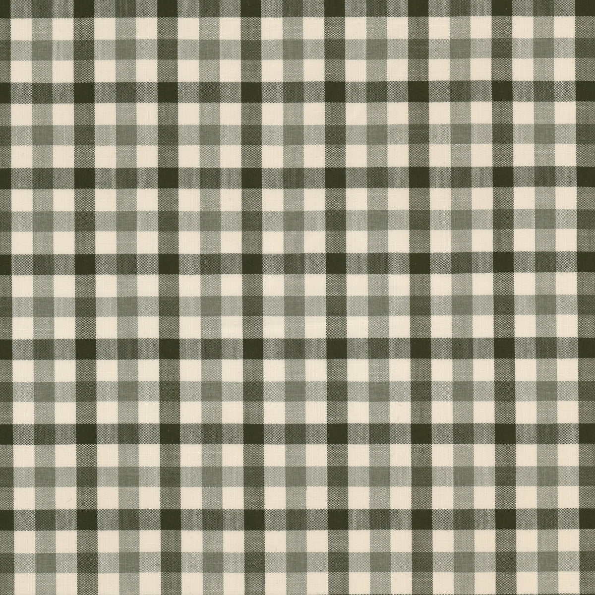 TWYLA 1 DILL