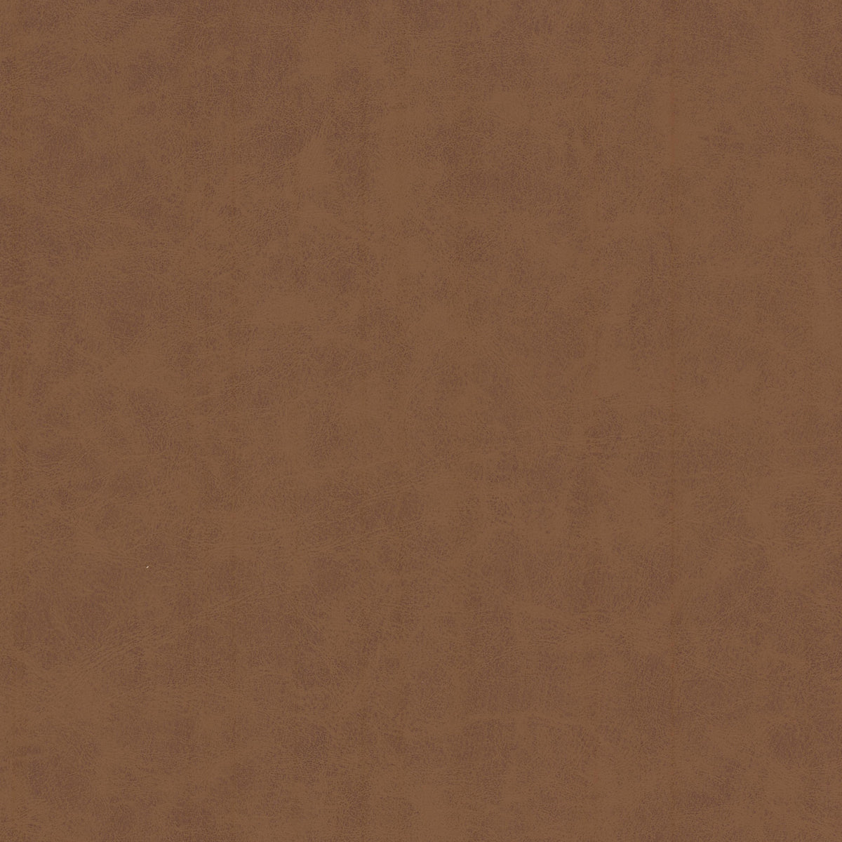 UNVEIL 3 PECAN