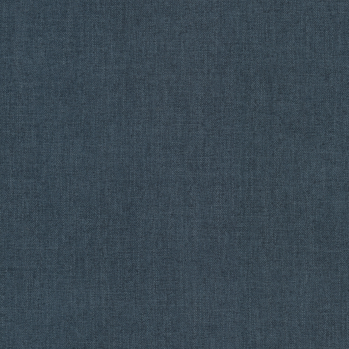 VALUTA 1 BLUEBERRY