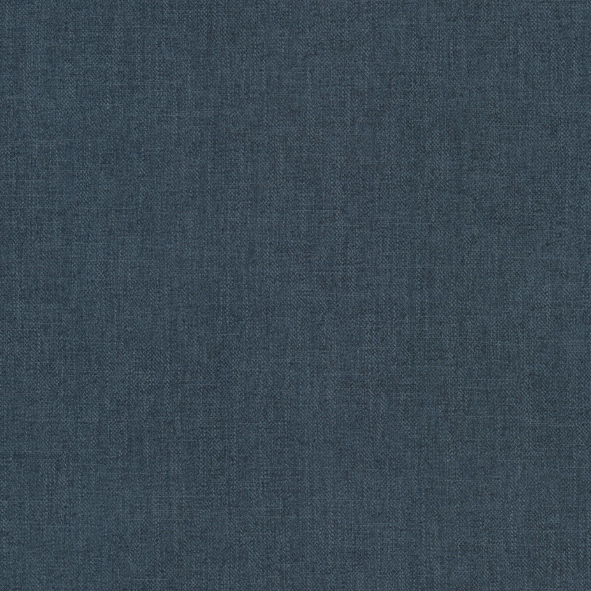 VALUTA 1 BLUEBERRY