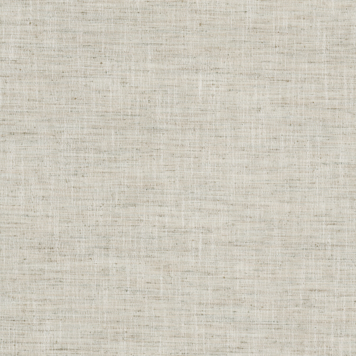 VINCENT 1 HEMP