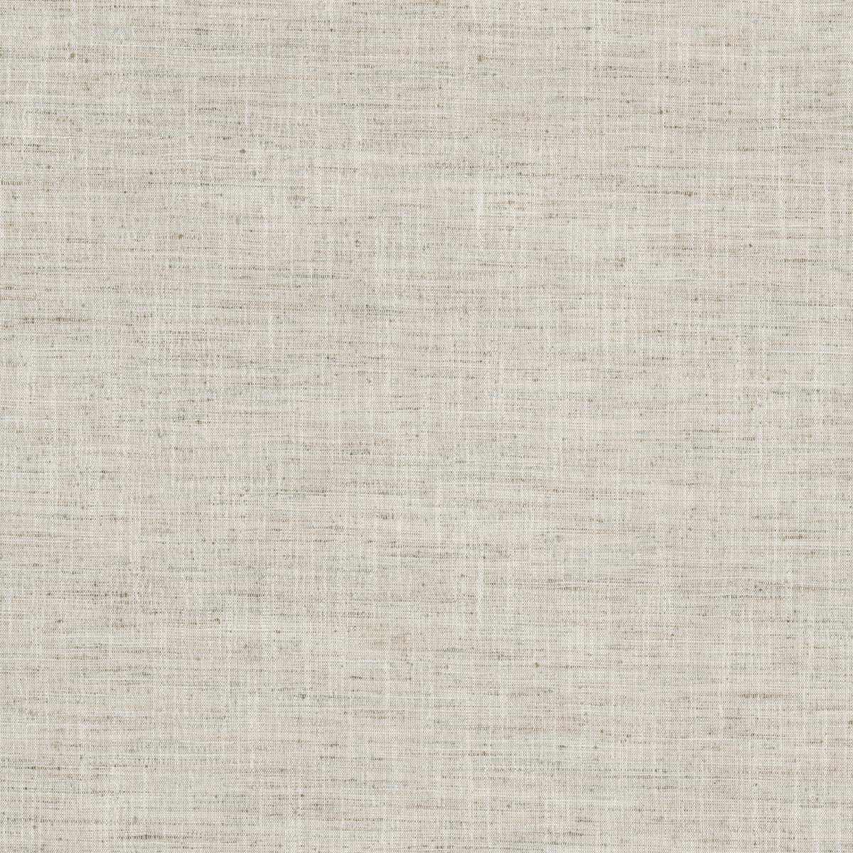VINCENT 1 HEMP