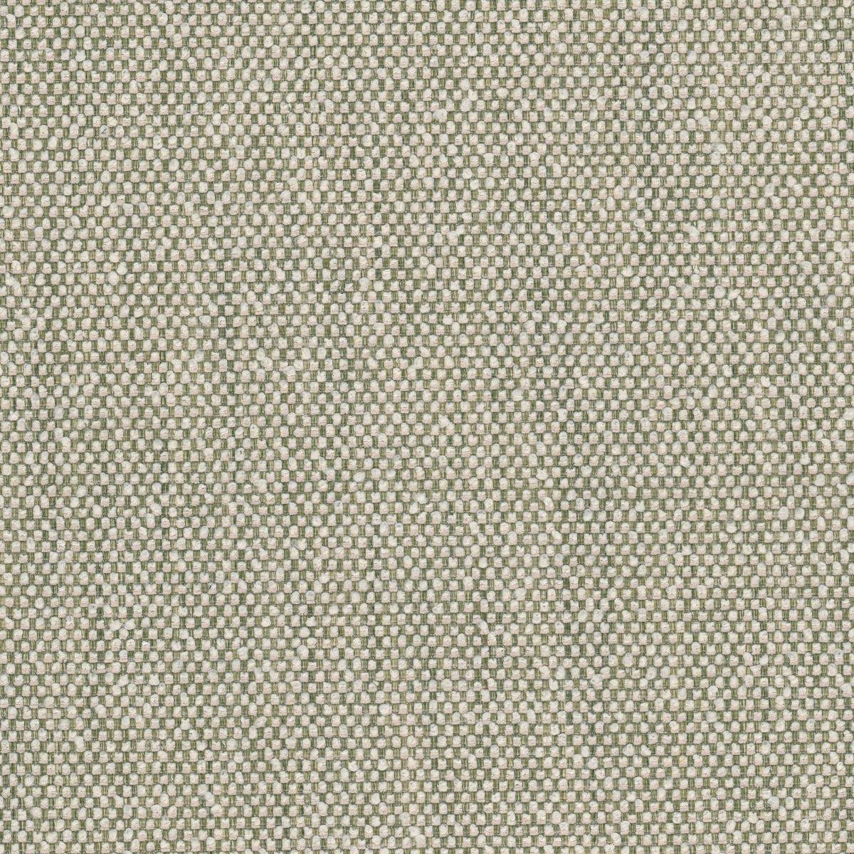 WAMPUM 1 GRASS