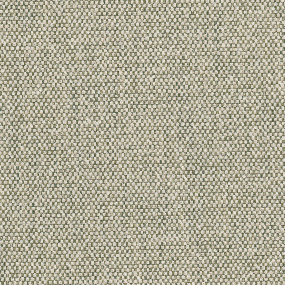 WAMPUM 1 GRASS