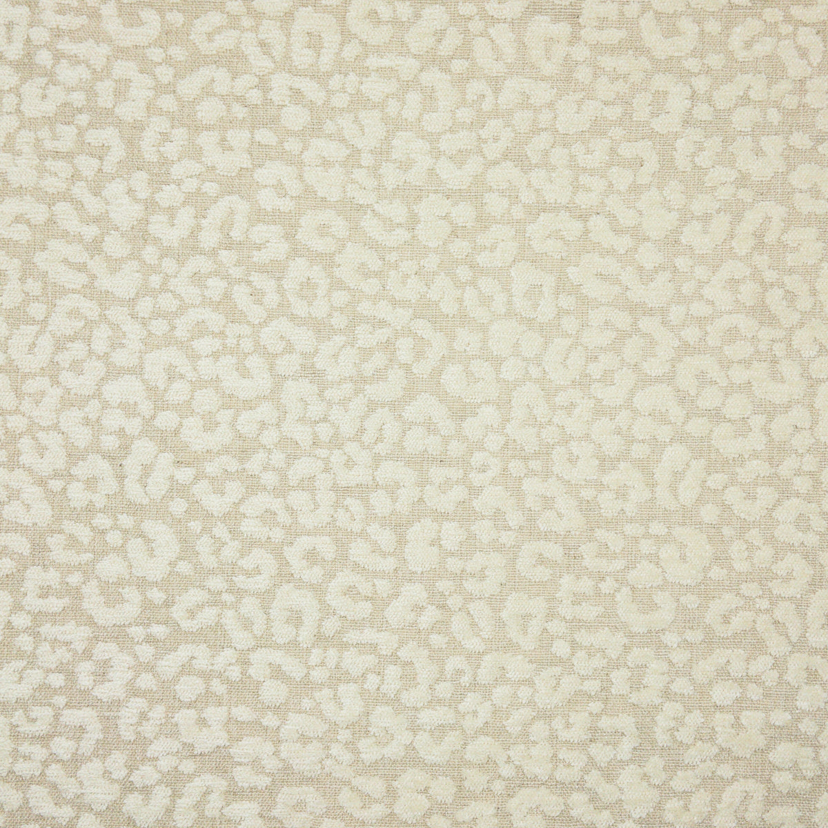 WYANDOTTE 1 BISQUE