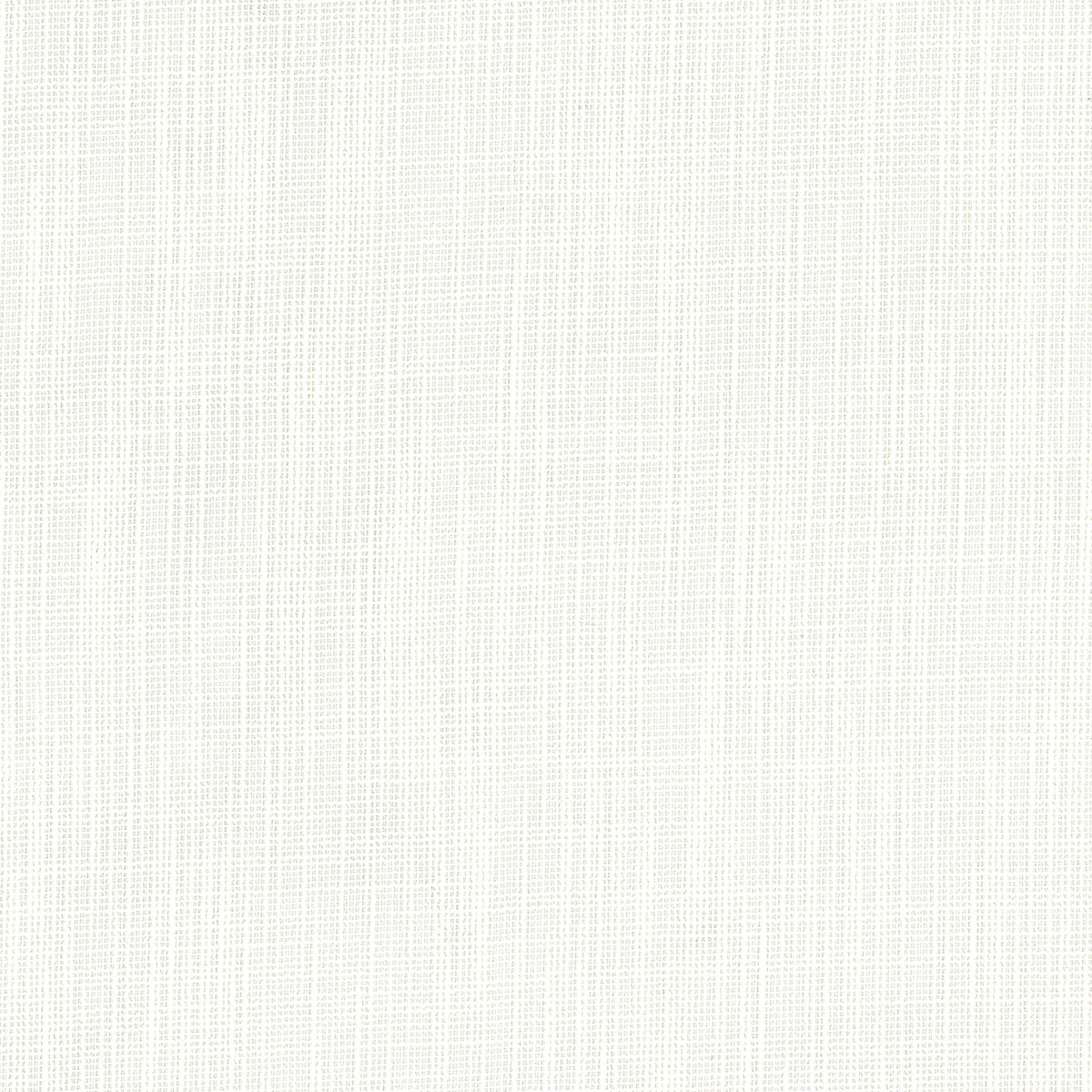 ZELBIO 1 CHALK