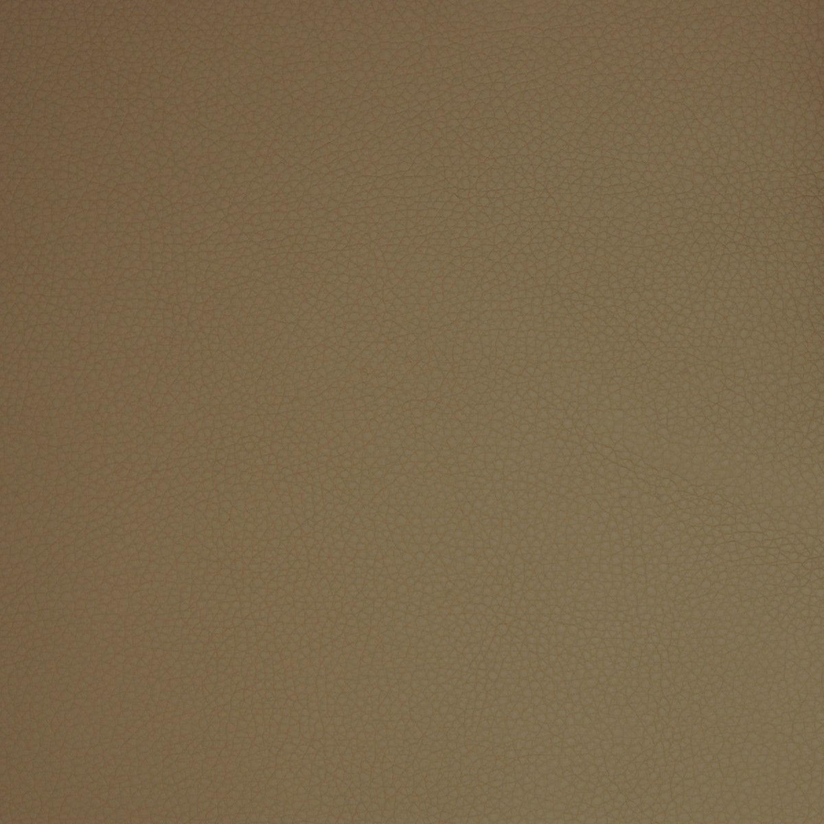 Greenhouse A9205 Fabric | Atlanta Fabrics
