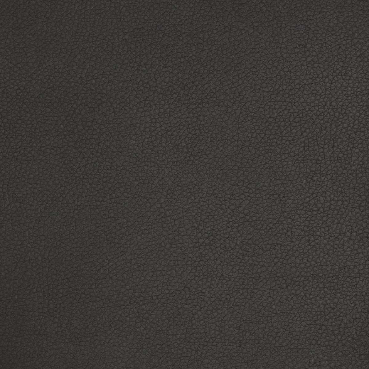 Greenhouse A9210 Fabric | Atlanta Fabrics