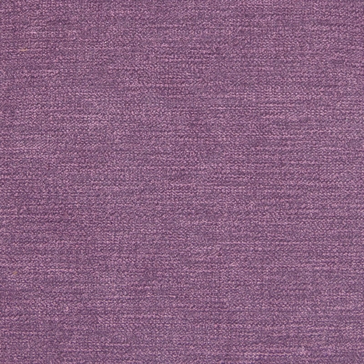 Greenhouse B1250 Fabric | Atlanta Fabrics