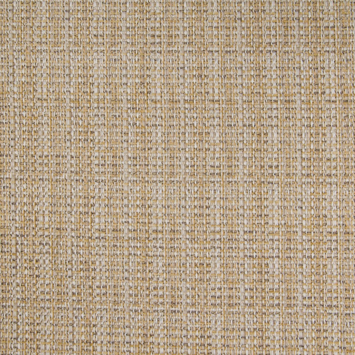 Greenhouse B4766 Fabric | Atlanta Fabrics
