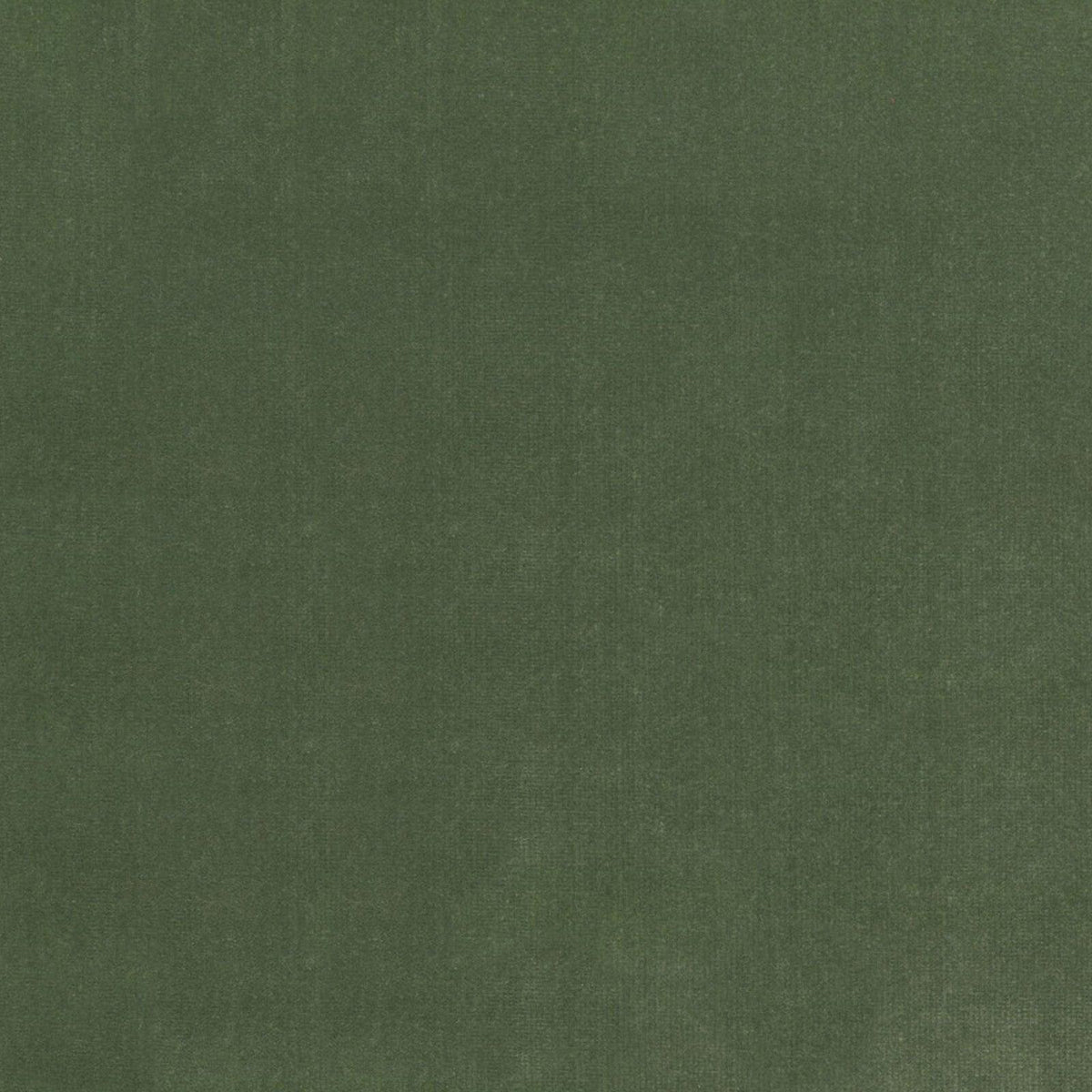 Bristol S4155 Fern - Atlanta Fabrics