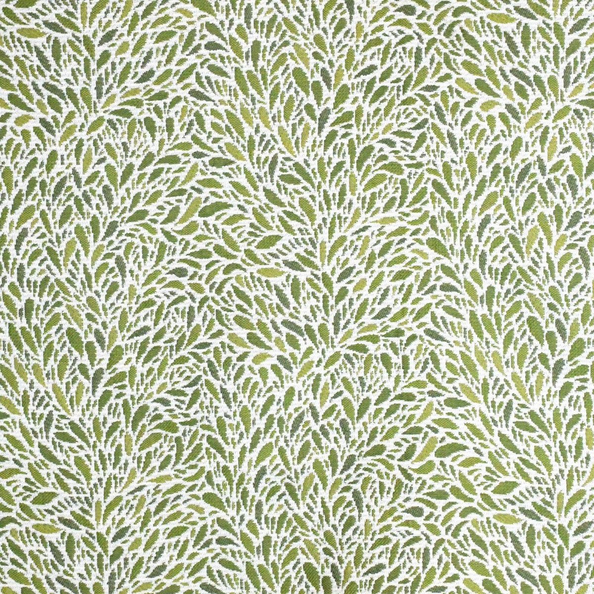 Creeping Thyme S4165 Leaf - Atlanta Fabrics