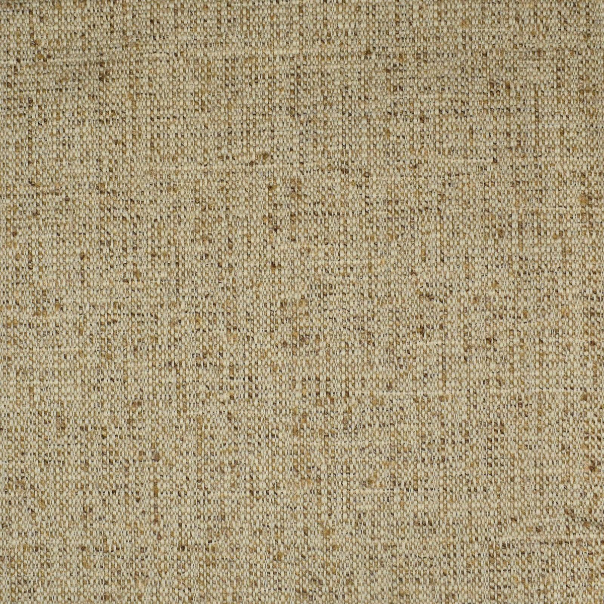 Devoted S2284 Cane - Atlanta Fabrics