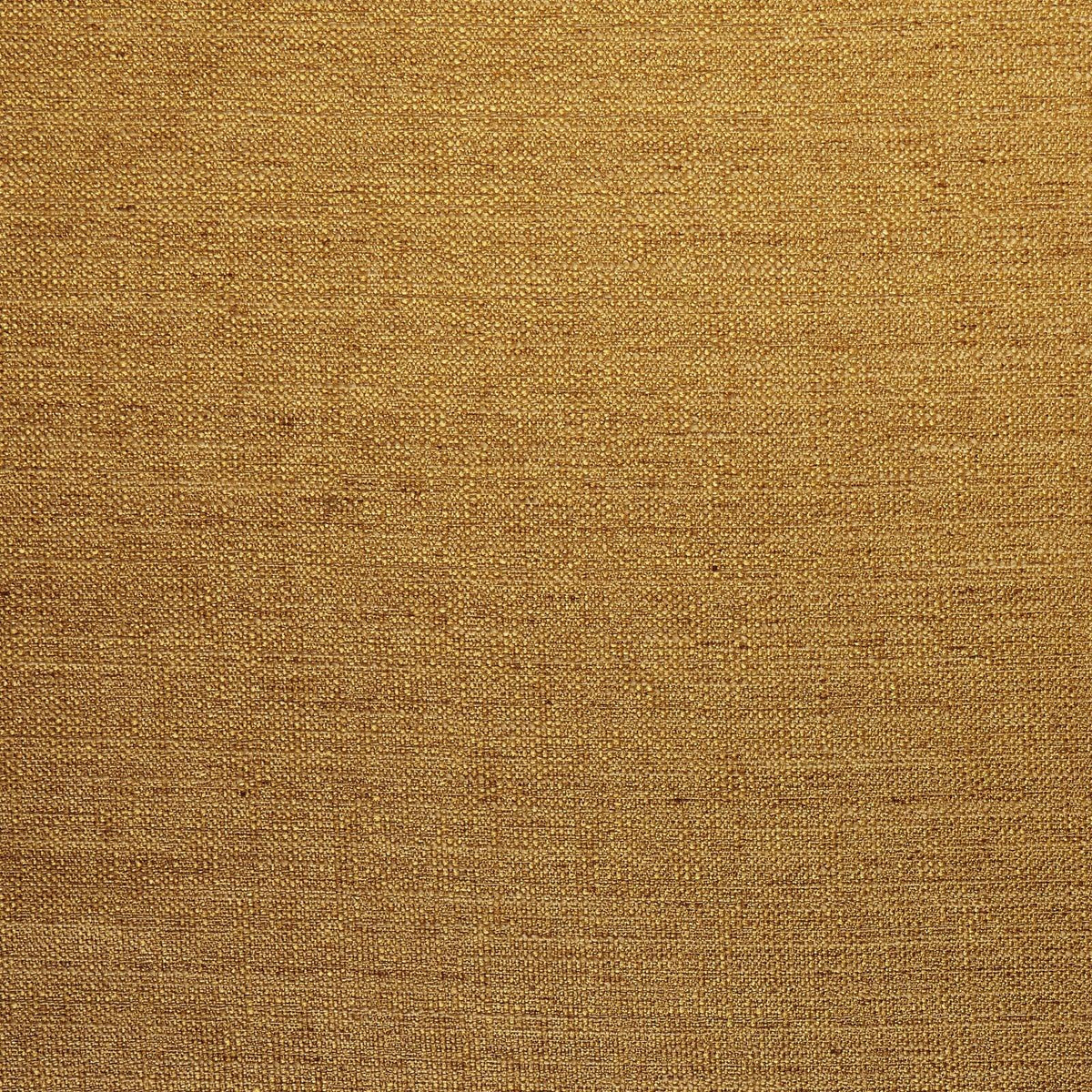 Director-Chamois - Atlanta Fabrics