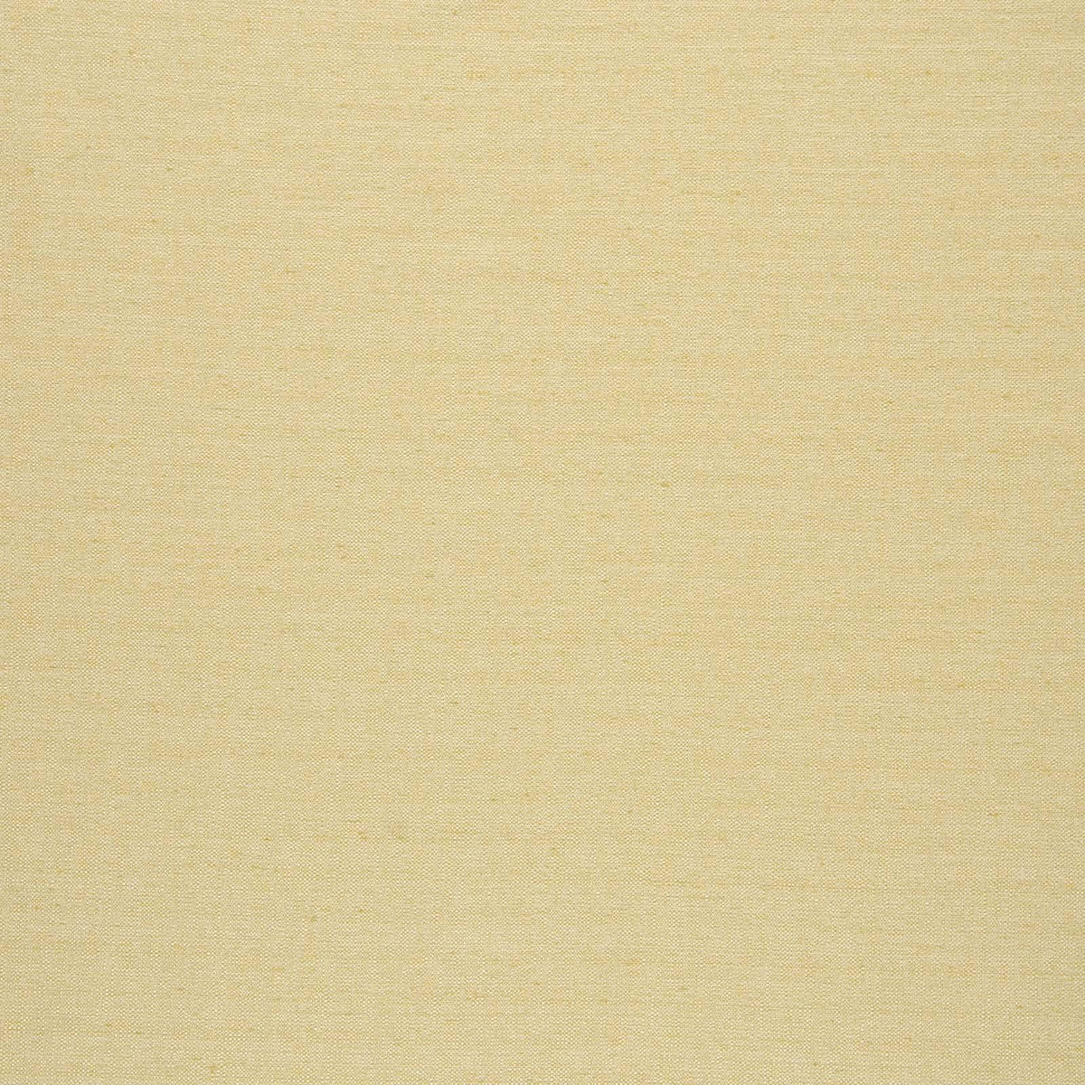 Mitchell Fabrics Director-Sunshine Fabric | Atlanta Fabrics