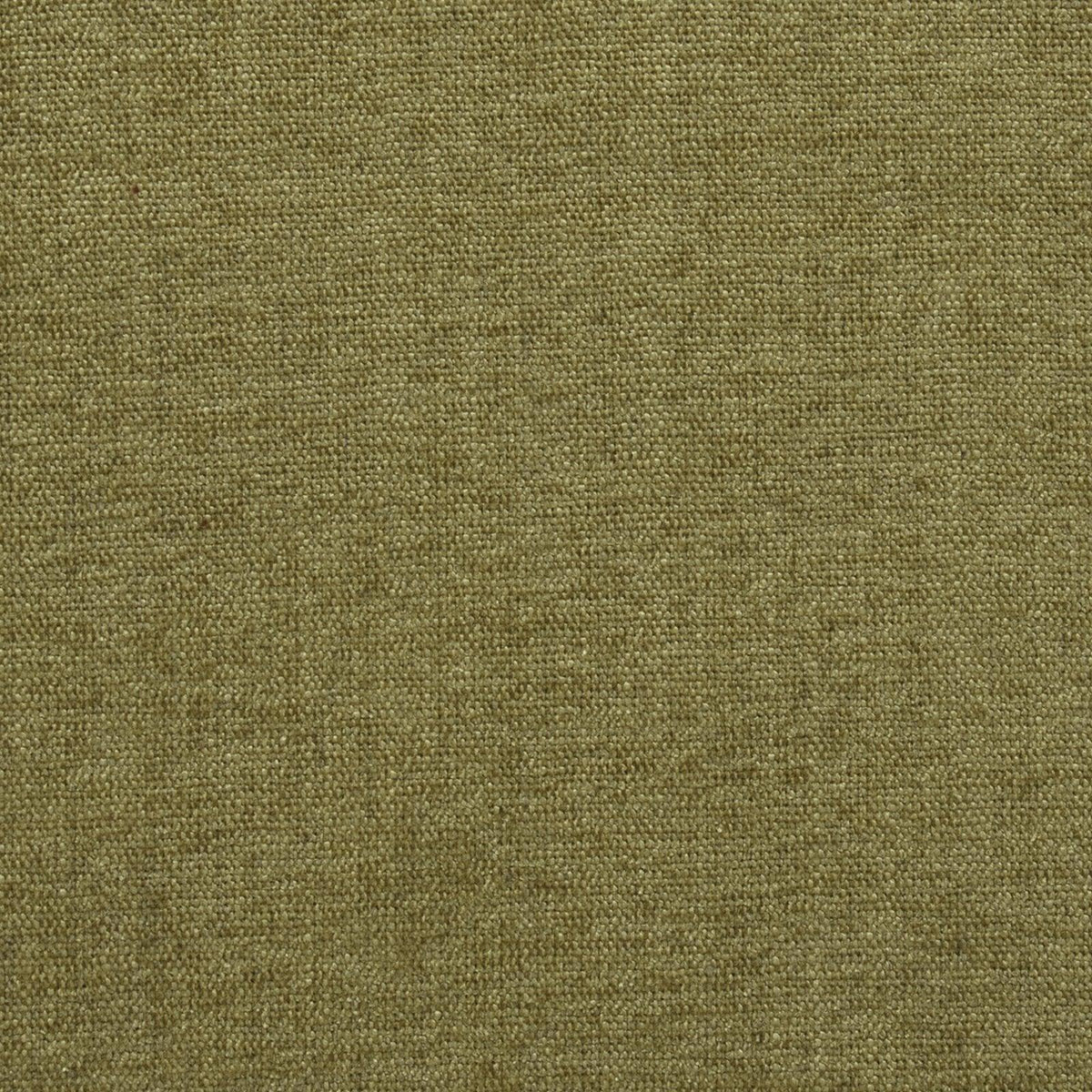 District-Dandelion - Atlanta Fabrics