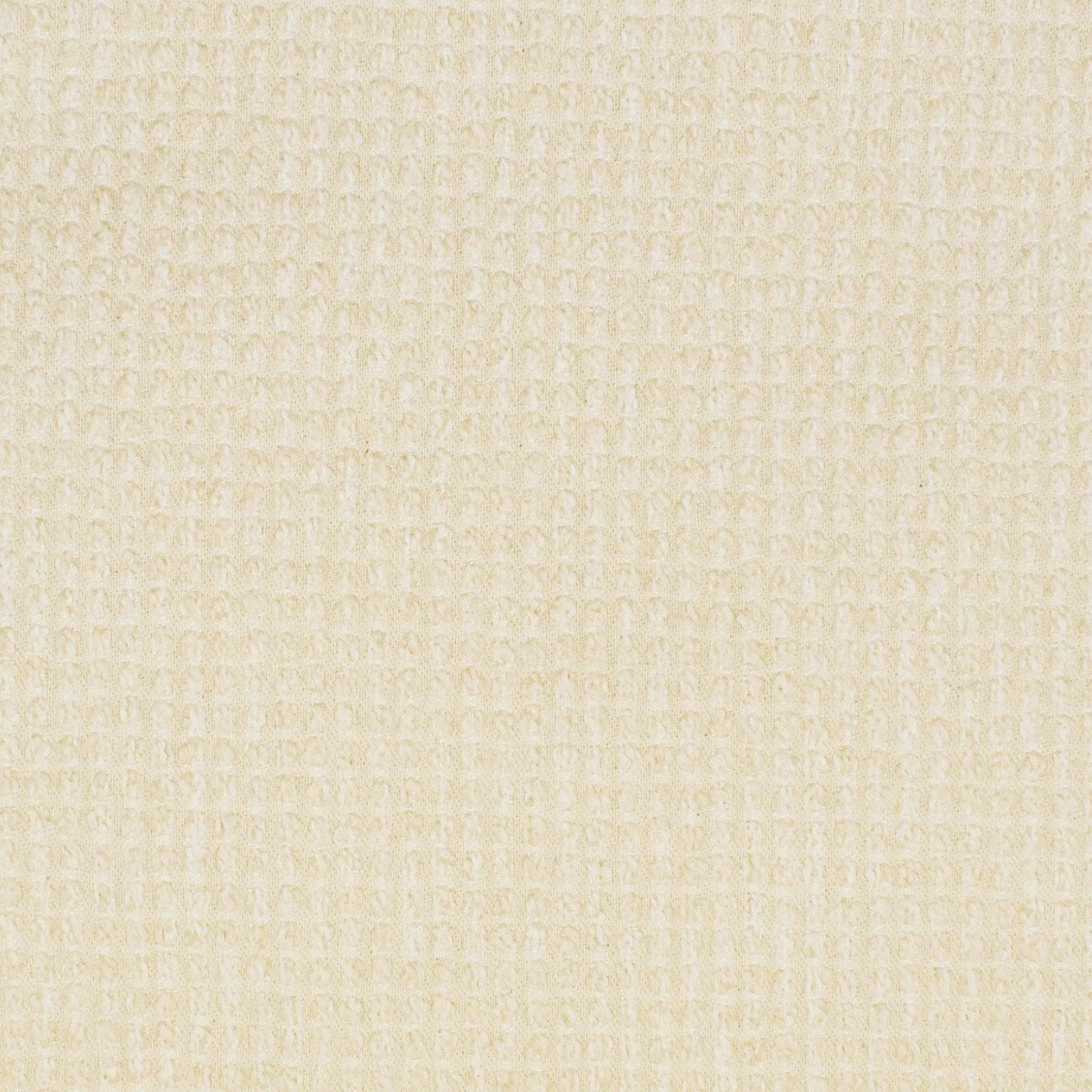 Dotted Line S2893 Cloud - Atlanta Fabrics