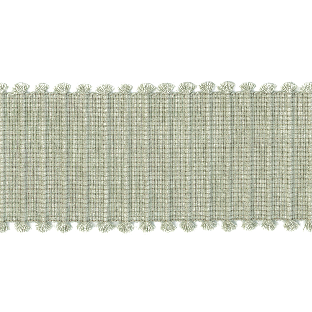 41249 Fringe Tape Aloe