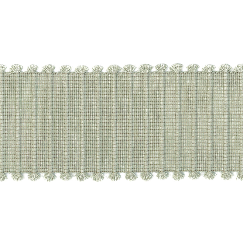 41249 Fringe Tape Aloe