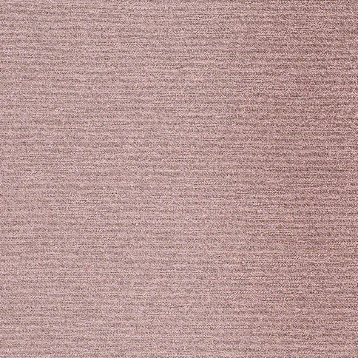 Celestial-Soft Pink