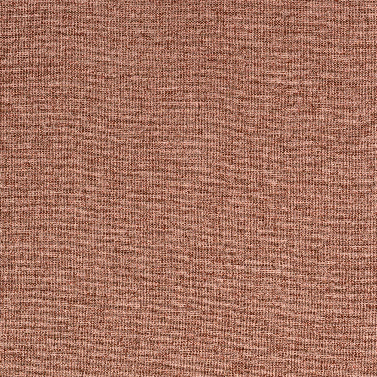 Refresh-Coral