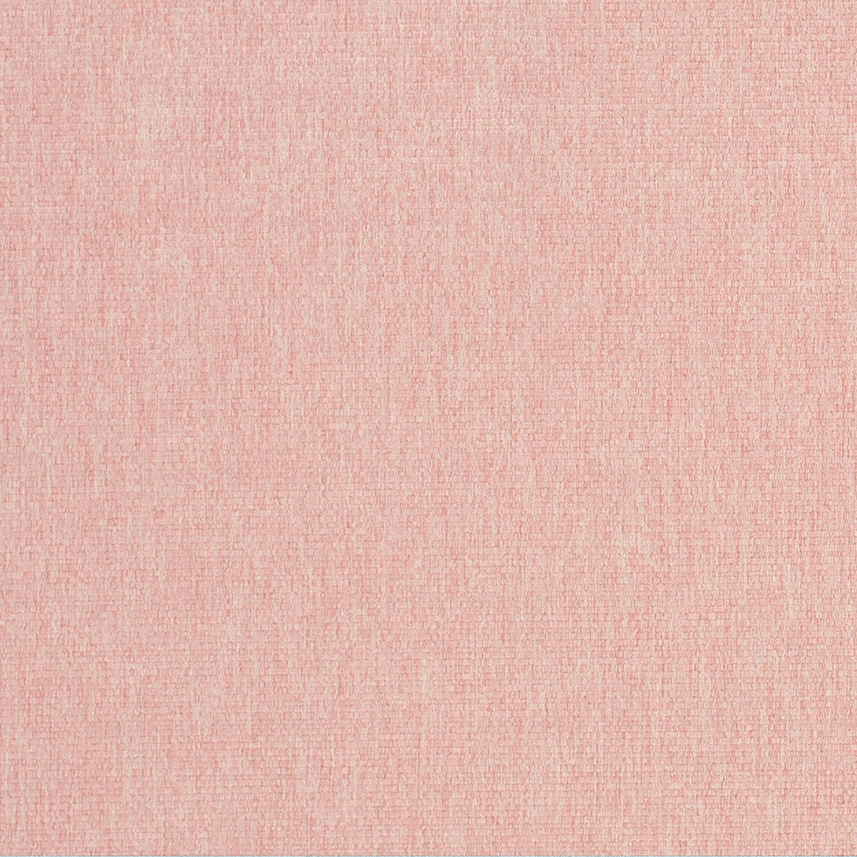 Thrive-Blush