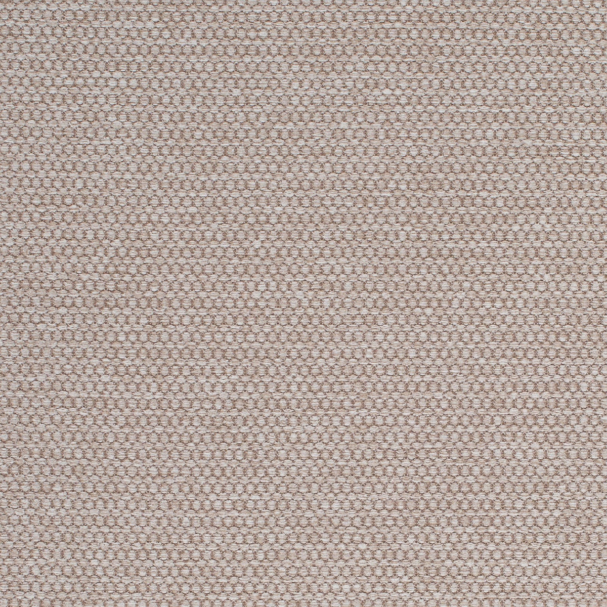 Sampson-Buckwheat