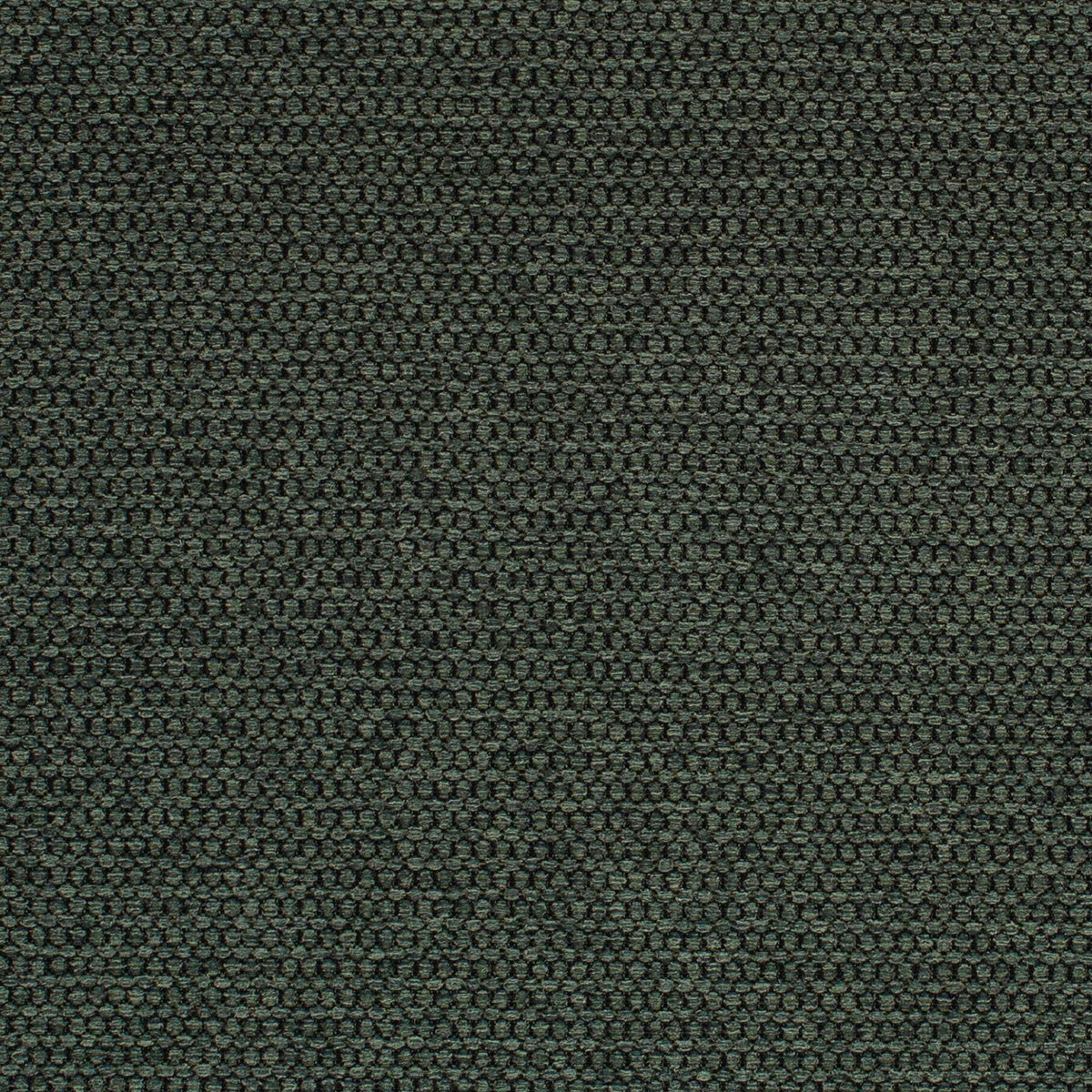 Sampson-Spruce