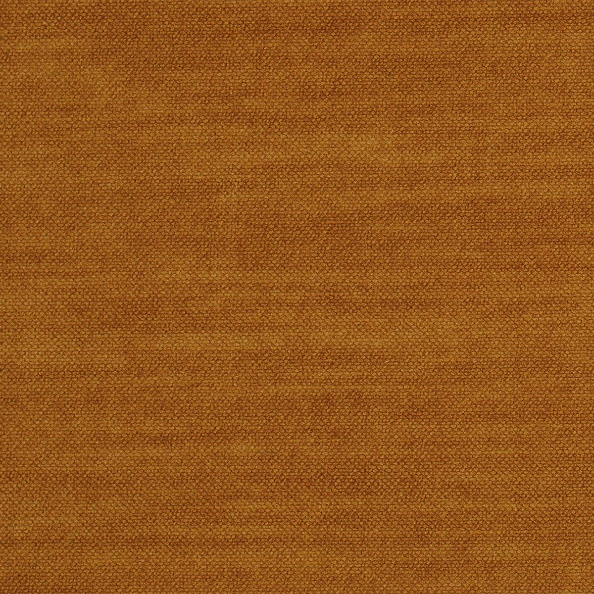 Comfy-Mustard