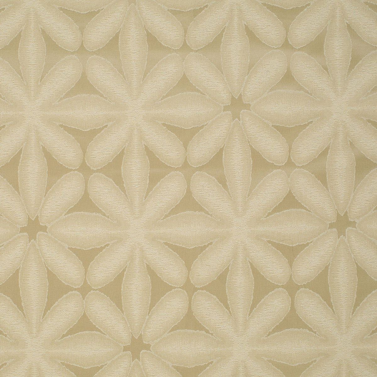 Bloomington-Parchment