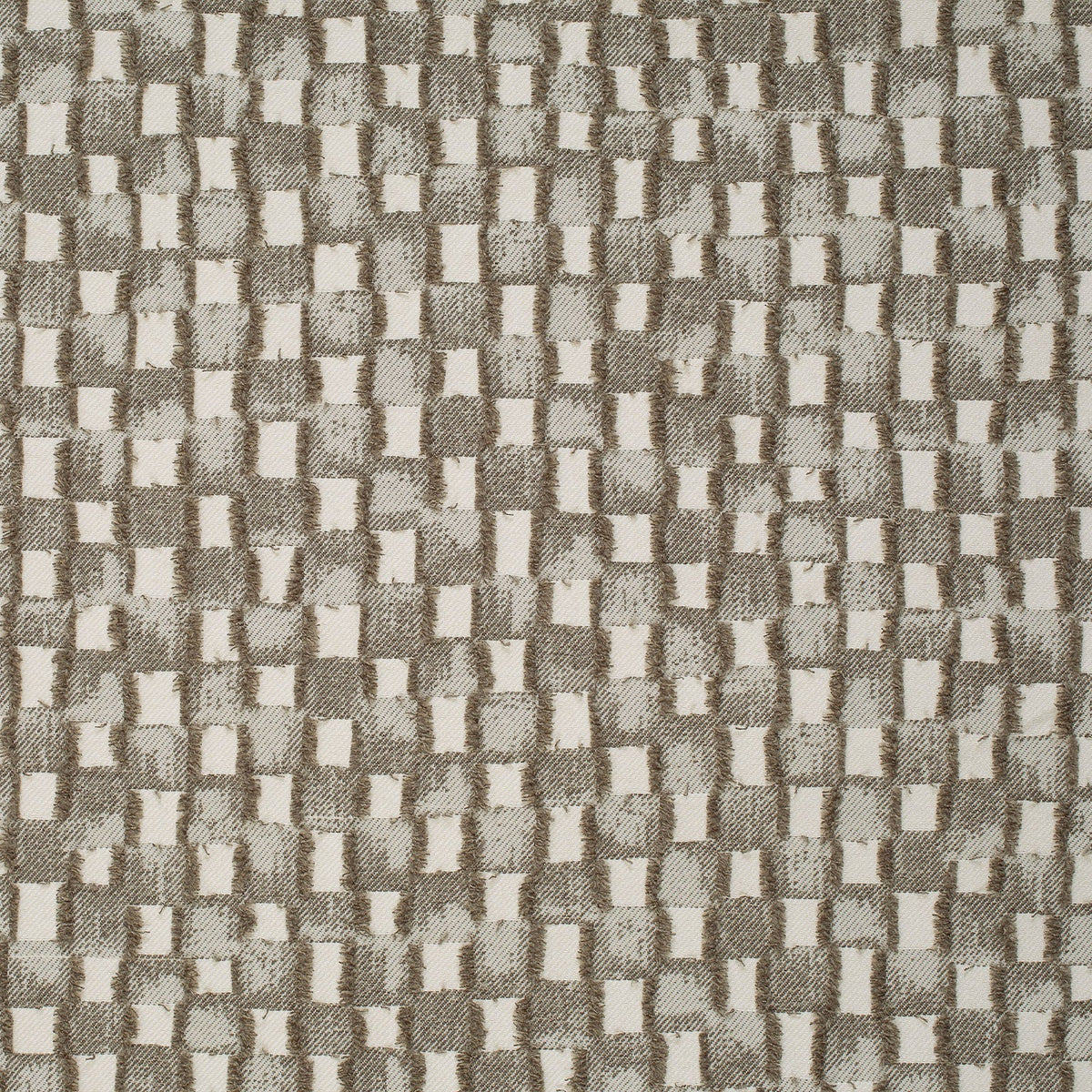 Cambium-Walnut