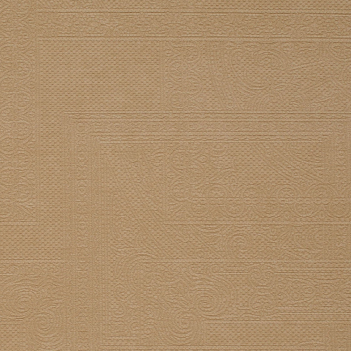 Sapwood-Latte